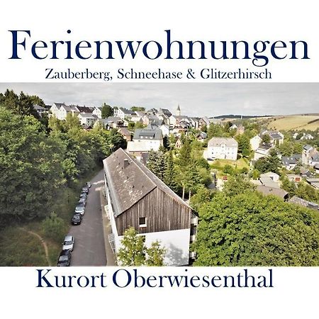 Ferienwohnungen Zauberberg, Schneehase & Glitzerhirsch Oberwiesenthal Exterior foto